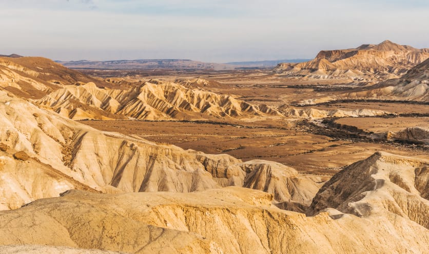 Deserto del Negev