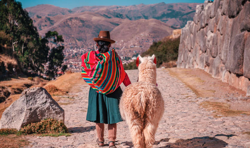 Alpaca Perù Alpaca Perù