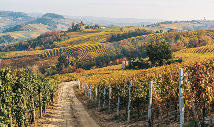 Langhe