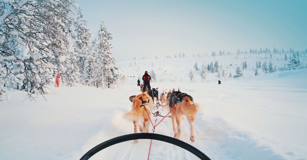 Lapponia Svedese e Rovaniemi