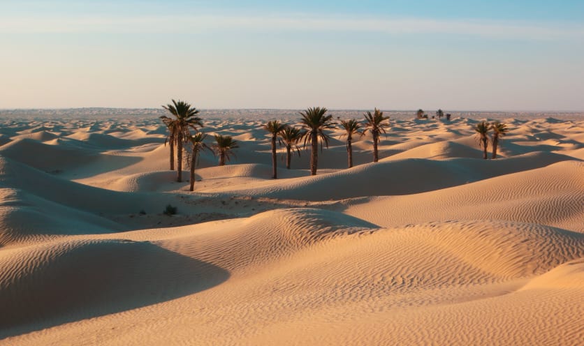 Deserto tunisino nei dintorni di Douz Deserto tunisino nei dintorni di Douz