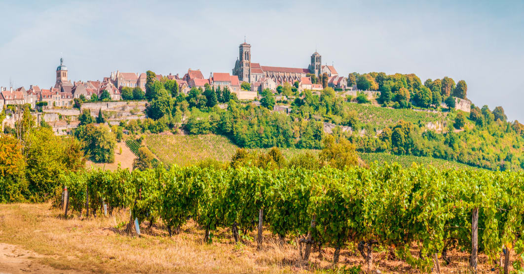 Borgogna, Alsazia e la strada dei vini