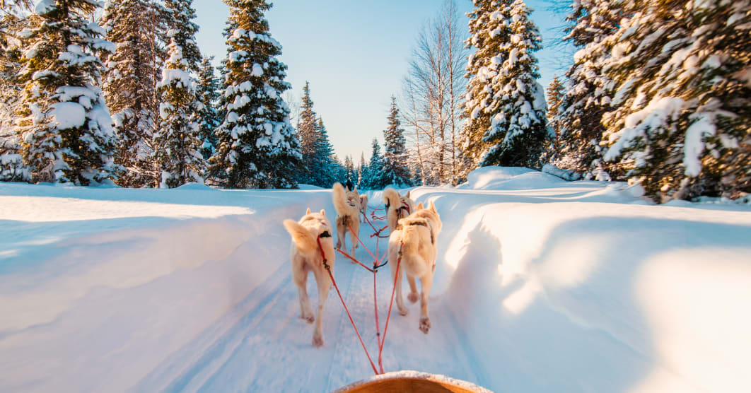 Rovaniemi, favola d'inverno