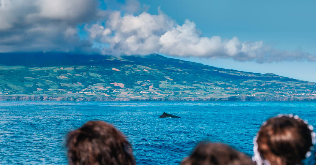 Azzorre, tra balene e natura