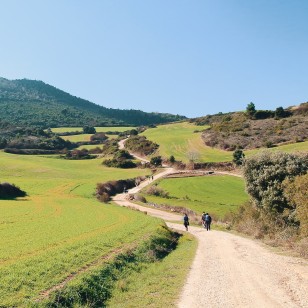 Camino Navarro, Navarra