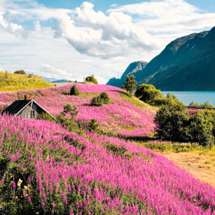 Sognefjord