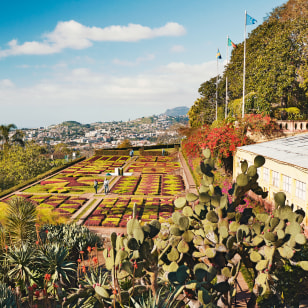 Giardino botanico, Funchal