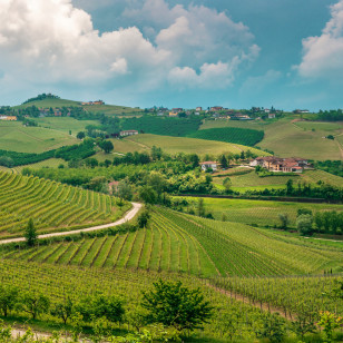 Paesaggio delle Langhe