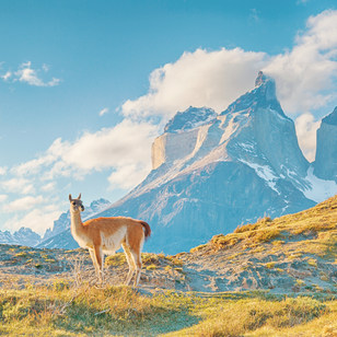 Parco Nazionale Terra Del Fuoco