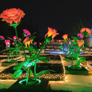Giardino delle Rose nel parco del Palazzo di Wilanow