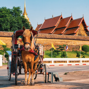 Giro in carrozza per Lampang