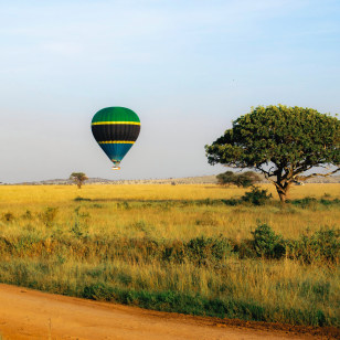 Parco Nazionale Serengeti