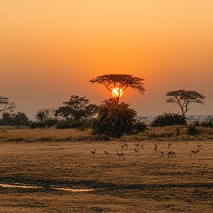Parco Nazionale Kafue