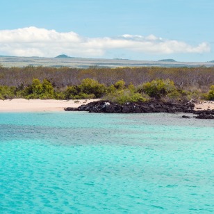 Isola di North Seymour
