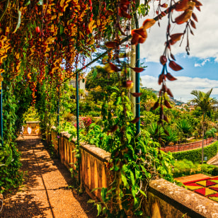 Giardino Botanico di Madeira, Funchal