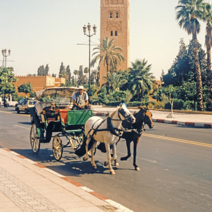 Calesse a Marrakech