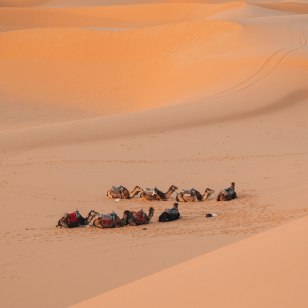 Deserto del Merzouga