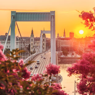 Ponte Elisabetta, Budapest