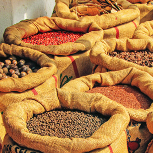 Mercato delle spezie a Cochin