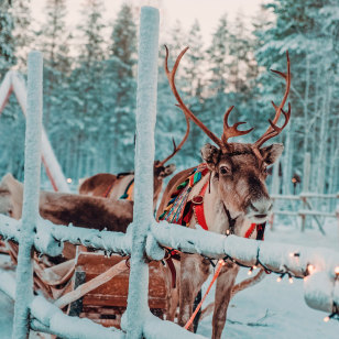 Villaggio di Babbo Natale, Rovaniemi