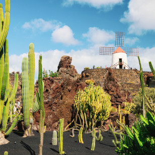 Jardin de Cactus, Lanzarote