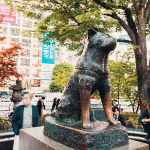 Statua di Hachiko a Tokyo