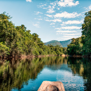 Foresta amazzonica