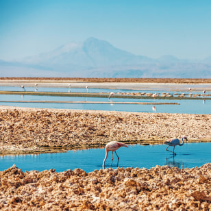 Saline di Atacama