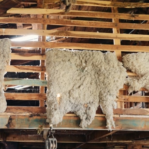 Lavorazione della lana, Estancia Harberton