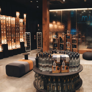 Museo della Vodka, Varsavia