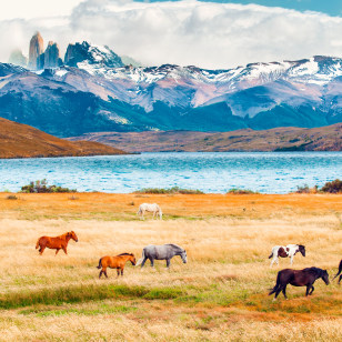 Laguna Azul, Torres del Paine