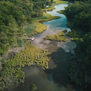 Riserva Ecologica di Taiamã