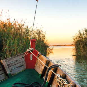 Parco Nazionale dell'Albufera