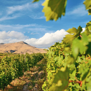 Degustazione vini regione di Areni