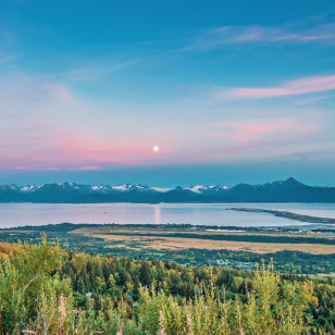 Baia di Kachemak, Homer