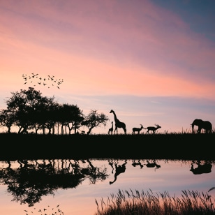 Tramonto in Tanzania