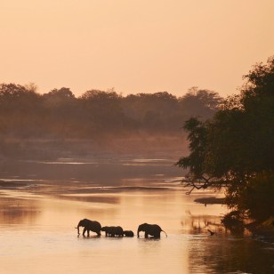 Parco Nazionale South Luangwa