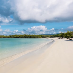 Tortuga Bay