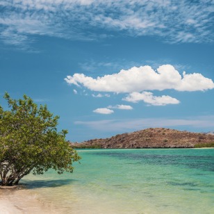 Bahia Magdalena