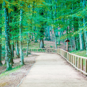 Foresta Umbra, Parco Nazionale del Gargano