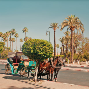 Giro in calesse a Marrakech