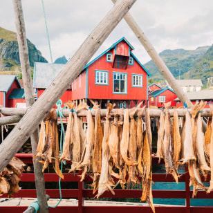 Casette tipiche e stoccafissi alle Lofoten