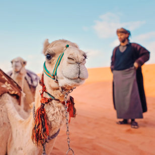 Deserto del Wadi Rum