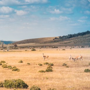 Terra del Fuoco, Patagonia