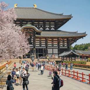 Tempio di Todaiji, Nara