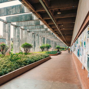 Università di Brasilia