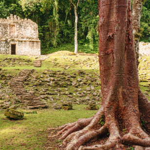 Sito archeologico di Yaxchilán, Chiapas