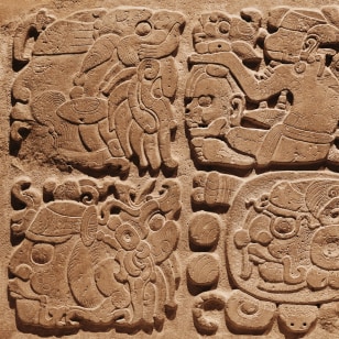 Dettaglio delle rovine Maya di Tikal