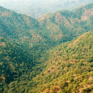 Foresta di Kumbhalgarh