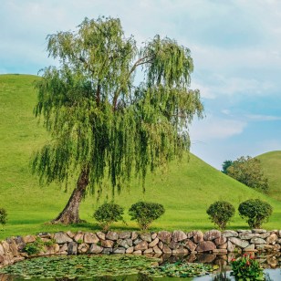 Tumuli Park, Gyeongju